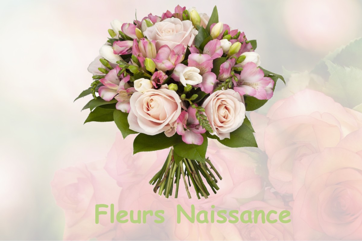 fleurs naissance SAINT-MAURICE-DE-LIGNON